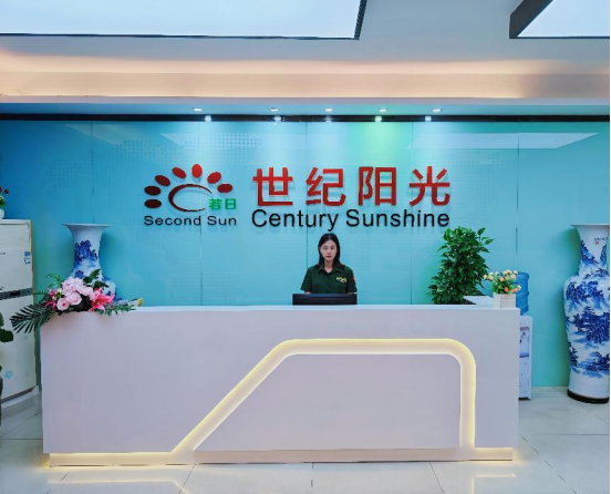 世纪阳光照明：从微光到辉煌的绿色征途(图1)